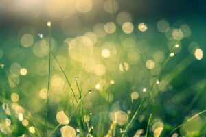 beautiful nature, hd wallpaper, nature background-4485609.jpg