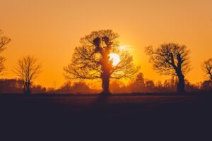 sunset, nature, orange-1669824.jpg